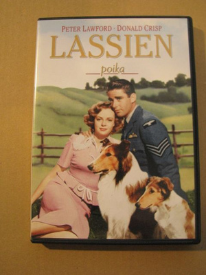 LASSIEN POIKA ( Lassie & Laddie )