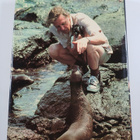 David Attenborough : Elävä maa - pikkukuva 2