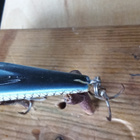 Nils Master Big Mouth 7,5cm - pikkukuva 5