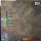 Massimo Ranieri - Perdere L'Amore LP Vinyyli - pikkukuva 2