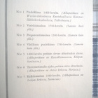 Sancta Apollinia Värilitografia Kuvia - pikkukuva 3