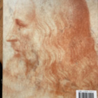 LEONARDO DA VINCI Minitaidekirja - pikkukuva 2