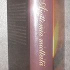 Outi Lauhakangas : Ajattomia mietteitä 1997 1.p. - pikkukuva 2