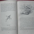 Gilbert White: Naturen i Selborne - pikkukuva 2