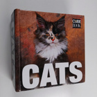 Cats - pikkukuva 1