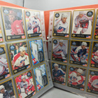 Jääkiekkokortit semic ice hockey 1995 NOIN 180kpl - pikkukuva 3