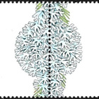 Åland 1999 Jäkäliä 2. lk välilöpari numero ** LaPe 161 - pikkukuva 2