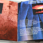Höyry-Kone - Hyönteisiäkin voi rakastaa CD - pikkukuva 4