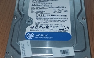 500Gt 3.5" Serial-ATA SATA pöytätietokoneen kovalevy