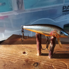 Rapala Sinking 5cm Ireland - pikkukuva 1