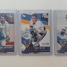 Leijonat Jersey, Signature, ja numeroidut kortit alk.2 €/kpl - pikkukuva 2