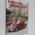 Hyrysysy-menolainen 2/1994 - pikkukuva 1