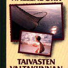 Per Wallendorff : Taivasten valtakunnan salaisuus - pikkukuva 1