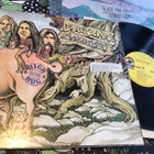 Black Oak Arkansas High on The hog Lp 1973 - pikkukuva 1
