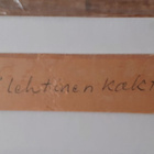 Kalle Carlstedt "Leveälehtinen kaktus" - pikkukuva 4