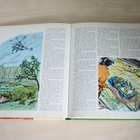 DAKTARI ANNUAL 1967 - pikkukuva 4
