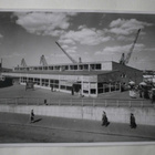 Helsinki,Tullipaviljonki (Olympiapaviljonki), vkpk, p. 1954 - pikkukuva 1