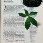 Cederderg ja Pakarinen : Kaikkien aikojen parhaat ( 1989 ) - pikkukuva 3