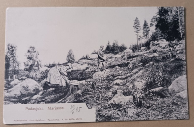 Padasjoki, marjassa kallioilla, vanha mv pk, ei p.