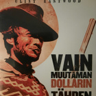 VAIN MUUTAMAN DOLLARIN TÄHDEN DVD - pikkukuva 1