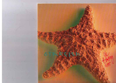 CDS STARFISH-RAIN COMES FALLING DOWN