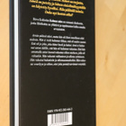 Ritva Kokkola : Kolmas mies ( 1.p. 2013 ) - pikkukuva 2