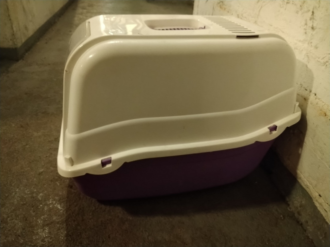 Hiekkalaatikko kissalle.