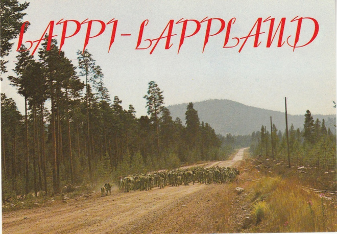 Postikortti, LAPPI, POROTOKKA MAANTIELLÄ