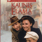 Kaunis Elämä (2 957) K -FI- suomik. DVD roberto benigni 1997 - pikkukuva 2