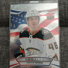 Anaheim Ducks x 5kpl - pikkukuva 5