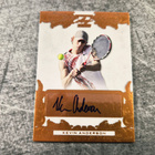 Kevin Anderson Leaf Auto - pikkukuva 1