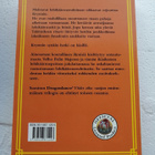 Rabe, Jean: Dragonlance: Viides Aika 2: Myrsky nousee - pikkukuva 2