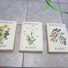 POHJOLAN KASVIT 1 - 3 ( 1 painokset v 1964 ) - pikkukuva 3