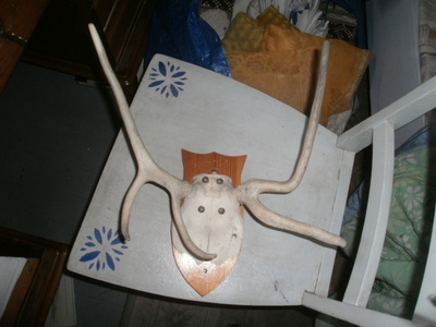Poronsarvet