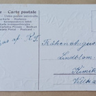 Uusi Vuosi 1907, hevosenkenkä, neliapiloita, sieniä, k. k-k - pikkukuva 2