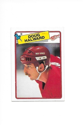 1988-89 OPC #113 Doug Halward Detroit Red Wings gooni