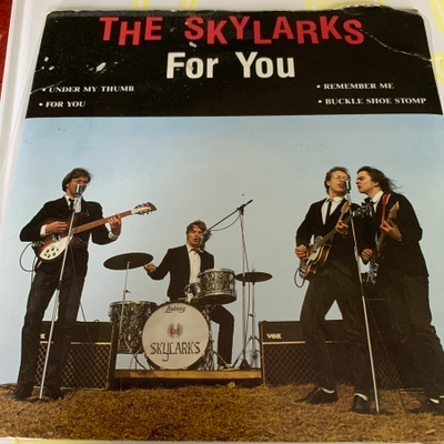 THE SKYLARKS: For You- EP * FIN 1991