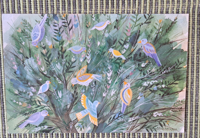 Pirkko Kanerva, SPR-kortti, kulkenut 1992