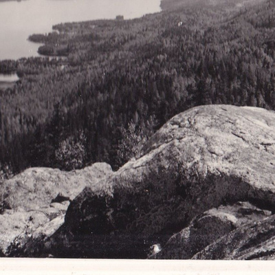 Koli. N:o 1417. e315