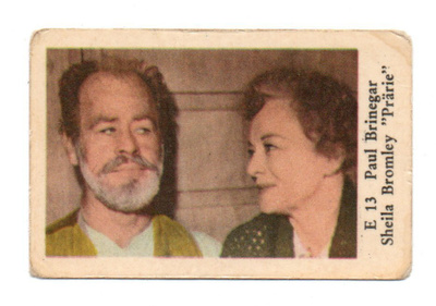 Purkkakuva E n:o 13 PAUL BRINEGAR ; SHEILA BROMLEY