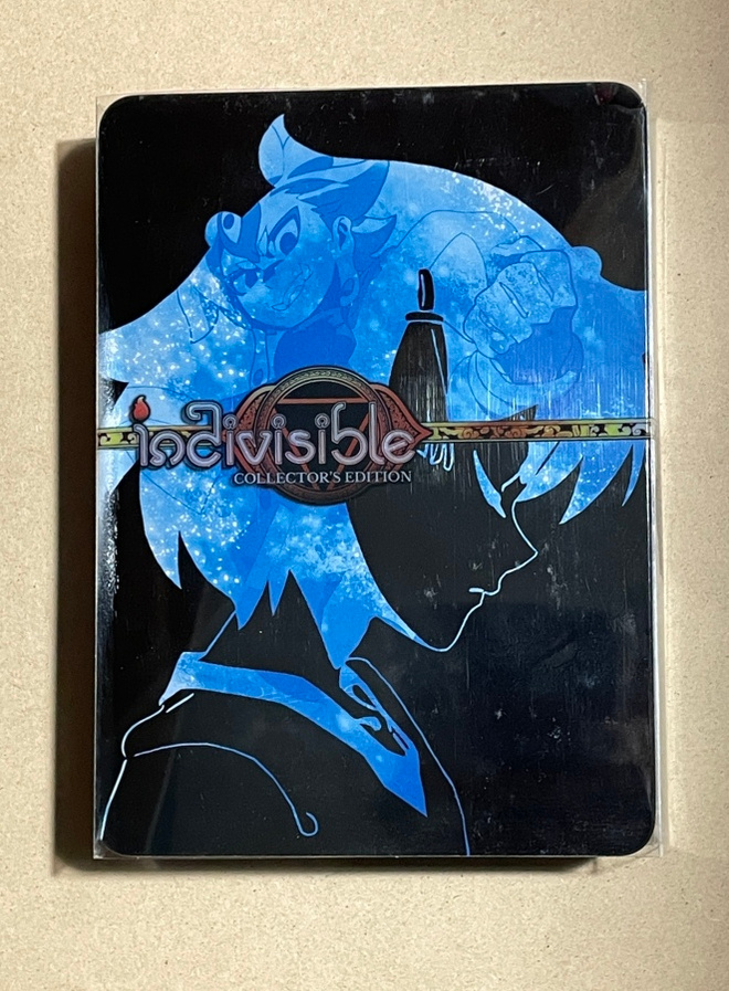 Indivisible Collector's Edition PC version