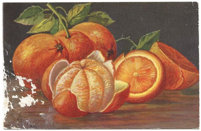 Elena Kojine (1937) Hedelmäasetelma KT 127/5