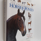 Tamsin Pickeral : The Encyclopedia of Horses & Ponies - pikkukuva 1