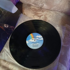 Kane Roberts - LP RARE! - pikkukuva 2