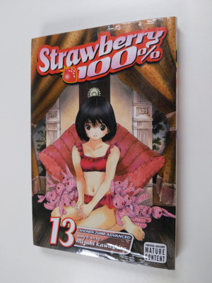 Mizuki Kawashita : Strawberry 100%, vol. 13