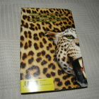 Anja Snellman Safari Club -sid - pikkukuva 2