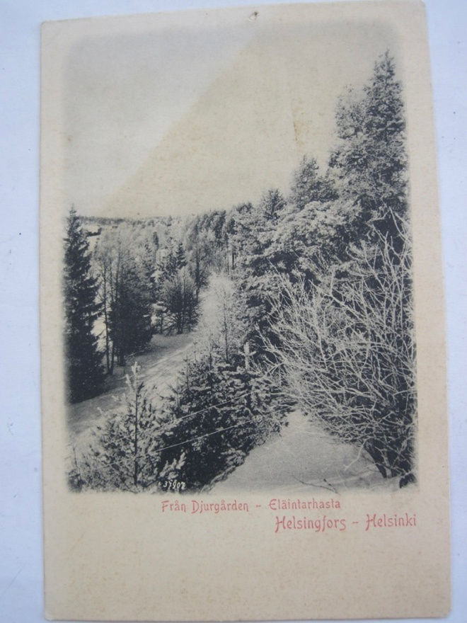 VANHA Postikortti Helsinki ennen 1905