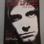 Teen Spirit, the stories behind every Nirvana song - pikkukuva 1