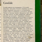 Voltaire - Candide (nid.) - pikkukuva 2