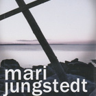 Mari Jungstedt: Aamun hämärissä - pikkukuva 1